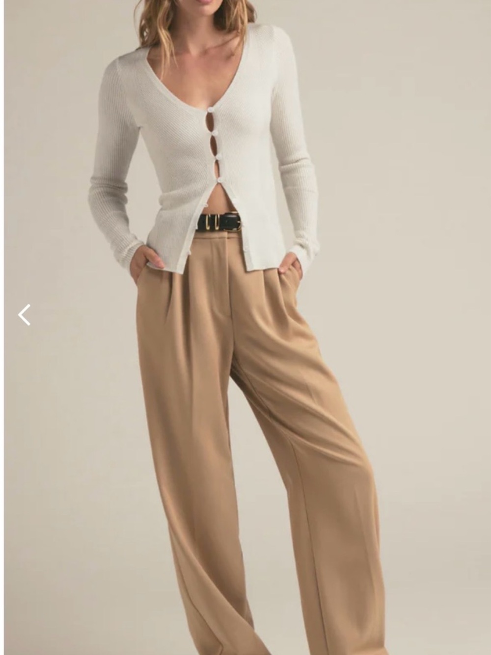 Favorite Daughter Wide-Leg High-Rise Trousers in Beige (sheen)